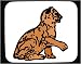 Decorated Mouse Pad with kitten, playing, sitting, orange, cat