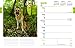 German Shepherds 2016 Engagement (Multilingual Edition)