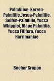Palmlilien: Kerzen-Palmlilie, Josua-Palmlilie, Seifen-Palmlilie, Yucca Whipplei, Blaue Palmlilie, Yucca Filifera, Yucca Harrimania-