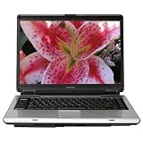 Toshiba Satellite A135-S4427 15.4" Widescreen Laptop (Intel Core Duo Processor T2250, 1 GB RAM, 120 GB Hard Drive, SuperMulti DVD Drive, Vista Premium)