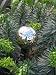 Decorative Stake 1m Tall Stainless Steel Sphere