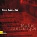 Image of Mallet Fantastique