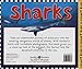 Smart Kids: Sharks: And Other Dangers of the Deep