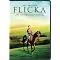 Equine Cinema