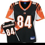 Cincinnati Bengals T. J. HOUSHMANDZADEH #84 Womens NFL Premier Jersey, Black (Medium)