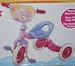 Care Bears Berry Cool Tricycle