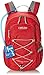 Camelbak Products Trailblazer 15 Hydration Pack, Pomegranate/Silver, 50-Ounce