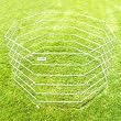 Precision Pet Pro Handler Indoor/Outdoor Exercise Pen, 36"H, Silver
