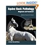 Equine Back Pathology: Diagnosis and Treatment