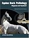 Equine Back Pathology: Diagnosis and Treatment