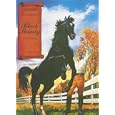 Black Beauty (Illustrated Classics) by  Anna Sewell
