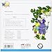 Colega lee 1 - 6  (readers)  - El bicho de la fruta (Spanish Edition)