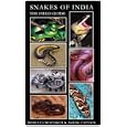 Snakes of India, The Field Guide by Romulus Whitaker and Ashok Captain