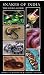 Snakes of India, The Field Guide