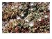 Ice Plant in Foothills, Fuerteventura, Canary Isles Photographic Poster Print by David Fox, 40x30
