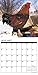 Just Us Chickens 2017 Wall Calendar