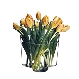 Produkt-Bild: iittala - Vase - Aalto, 16 cm, klar
