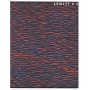 LeWitt x 2