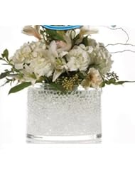 Health and Beauty: 5 Pack of Crystal Jelly Decor Colorful Beads (Tm) - Water Pearl for Party Centerpieces ,Floral Arrangements. Makes 45 Cups (Clear) - Crystal Jelly Decor Colorful Beads