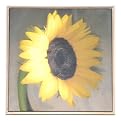 Sunflower on Canvas by Clark - 16x16"