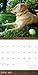 2015 Golden Retrievers Wall Calendar