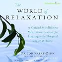 World of Relaxation: A Guided Mindfulness Meditation Practice for Healing In the Hospital And/or At Home (feat. Georgia Kelly)