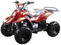 110cc Four Wheelers 6