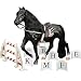 Our Generation Lusitano Equestrian