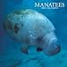 Manatees 2008 Square Wall Calendar