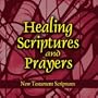 Healing Scriptures and Prayers Vol. 2: New Testament