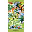 Dettagli prodotto