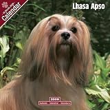 Eigenschaften Avonside Publishing Ltd.  / Kalender 2009 Lhasa Apso