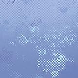 Champion Shape Women`s T-Back Sports Bra - Best Seller, 1050, 36C