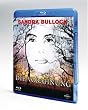 Die Vorahnung [Blu-ray]