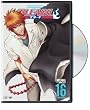 Bleach, Vol. 16