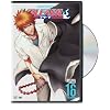 Bleach, Vol. 16
