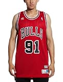 NBA Chicago Bulls Dennis Rodman Retired Player Swingman Jersey