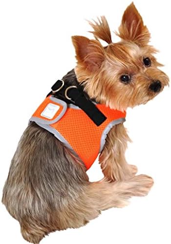 SimplyWag Dog Body Harness, Safety Orange w Reflective Trim, X-Small