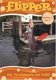 Flipper - Staffel 3, Box 2 (2 DVDs) - Brian Kelly