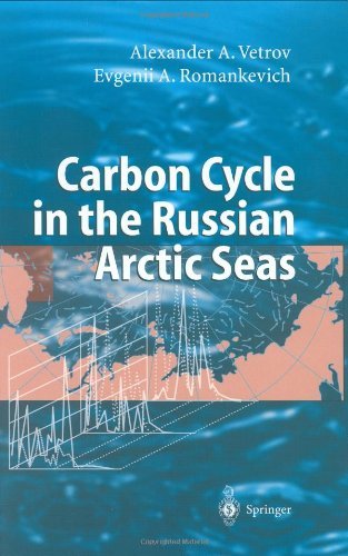Carbon Cycle in the Russian Arctic Seas
