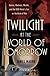 Twilight at the World of Tomorrow