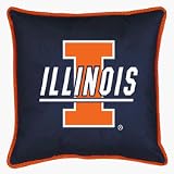 Illinois Fighting Illini 22 x 22 Coordinating NCAA Sidelines Collection Floor Pillow from Kente