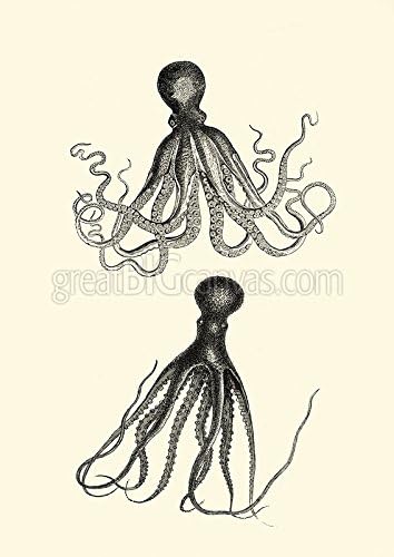 Sepia Octopus Gallery-Wrapped Canvas