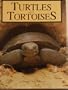 Turtles and Tortoises