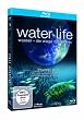 Water Life - Staffel 2 [Blu-ray]