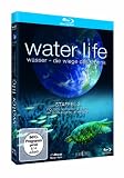 Water Life - Staffel 2 [Blu-ray]