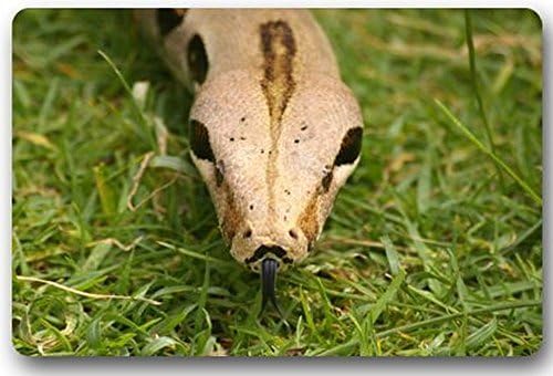 Hi,Doormat Creative Design Python Drawing Home Decor Door Mats Doormat Mat Dirt Buster 18 x 30 Inches