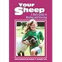 Your Sheep: A Kid's Guide to Raising and Showing by Paula Simmons