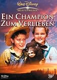 Ein Champion zum Verlieben