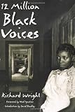 12 Million Black Voices